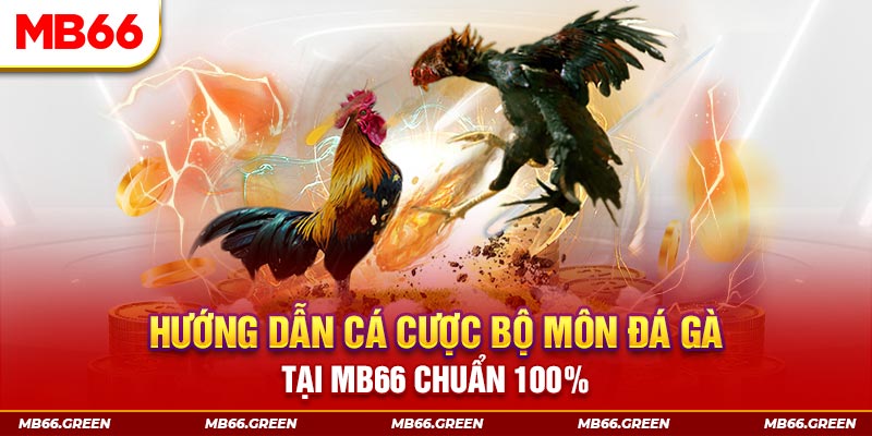 vip win slot là gi