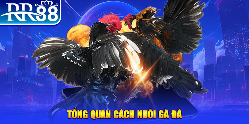 vip win game nổ hũ rút tiền mặt là gì