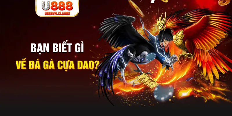 vip win SW Xổ Số