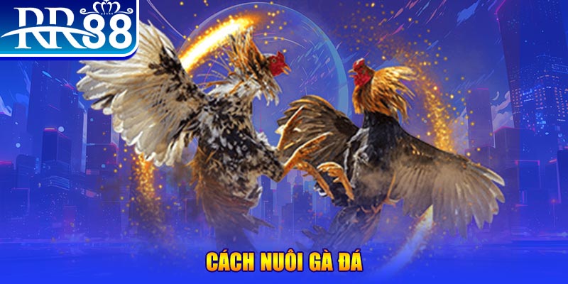 vip win đăng nhập phỏm đổi thưởng