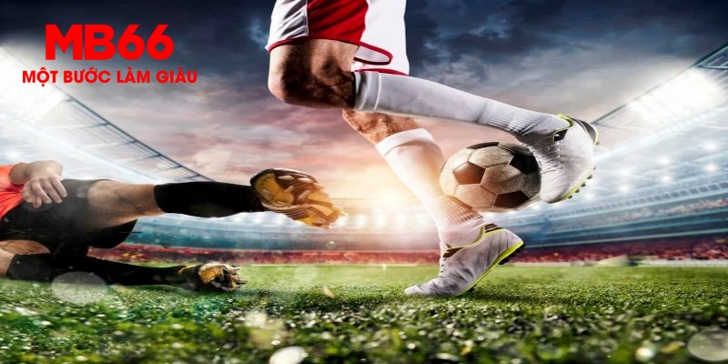 vip win trực tiếp đá gà thomo