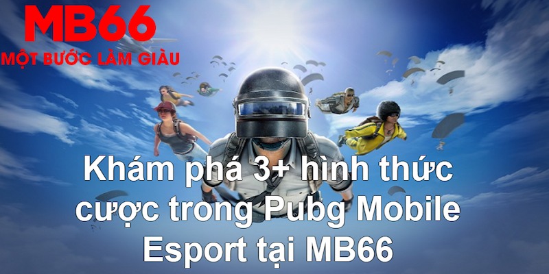 vip win Tài Xỉu