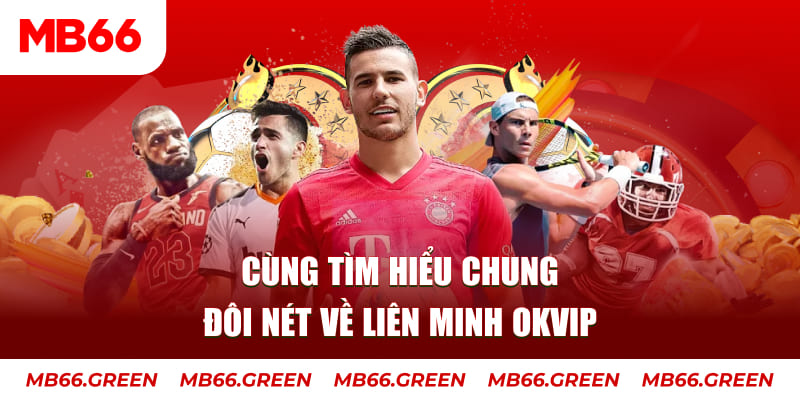 vip win đá gà trực tiếp bình luận viên