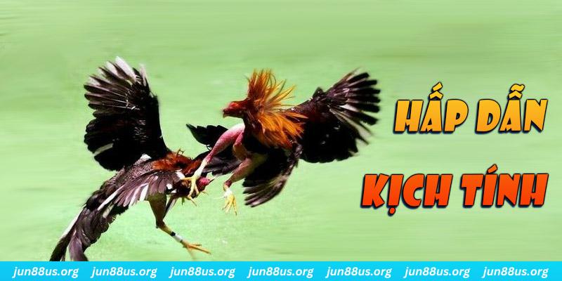 vip win đăng nhập roulette online