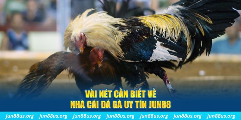 vip win đăng nhập phỏm khuyến mãi