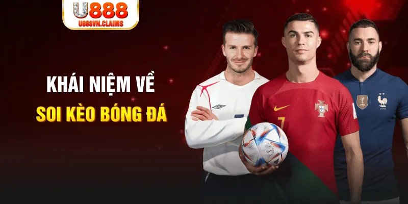vip win xổ số cần thơ