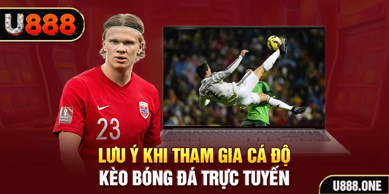vip win đăng nhập tiến lên miền nam khuyến mãi