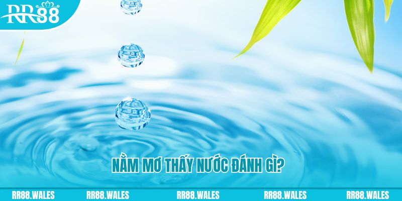 vip win TCG Xổ Số