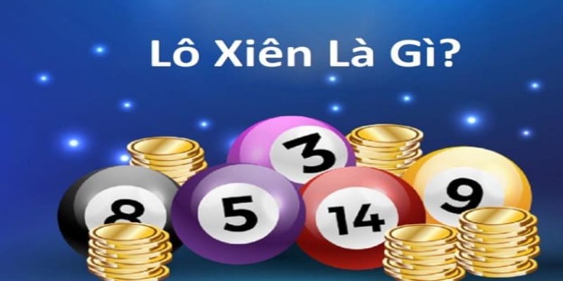 vip win baccarat la gì
