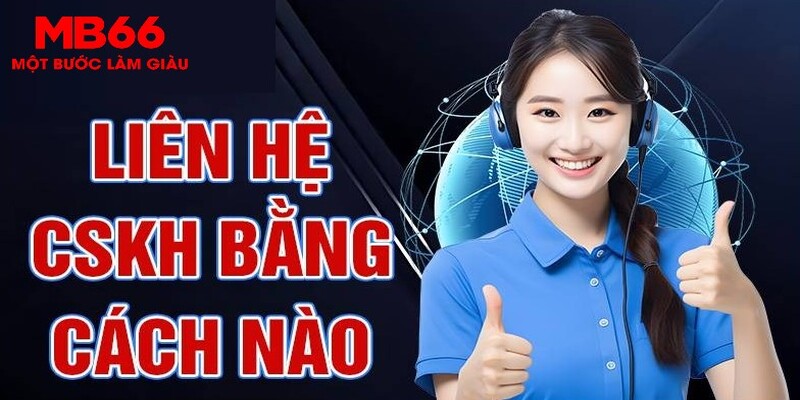 vip win esport la gì