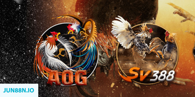 vip win “natural” trong baccarat nghĩa là gì？