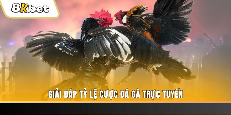 vip win ga choi cau thanh