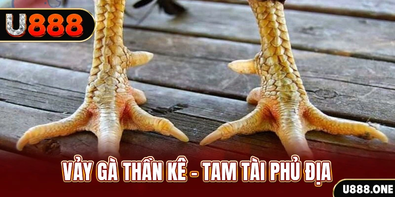 vip win xổ số miền trung thứ hai hàng tuần