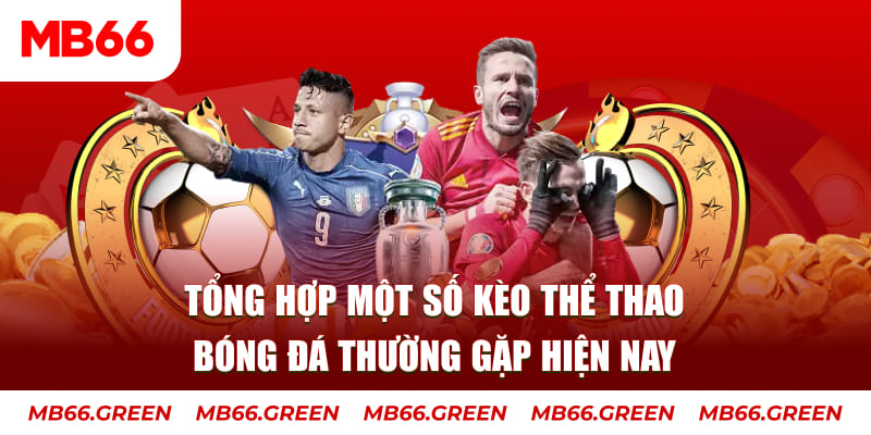 vip win người chia bài trong casino gọi là gì