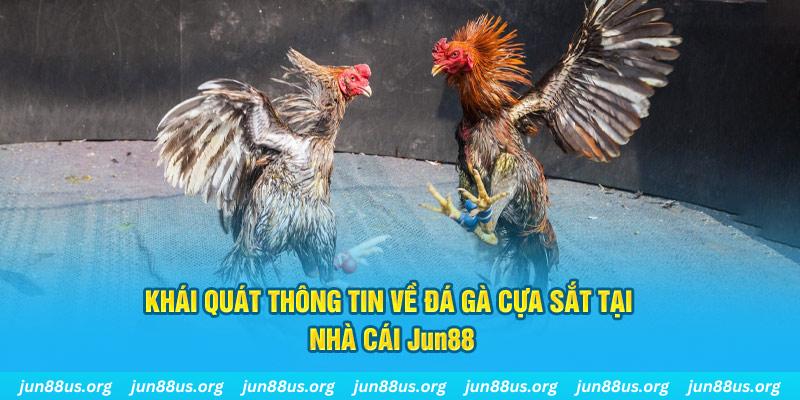 vip win xổ số miền bắc thứ bảy hàng tuần