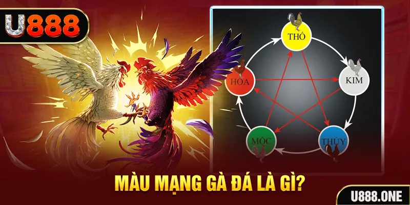 vip win xổ số miền trung thứ tư hàng tuần
