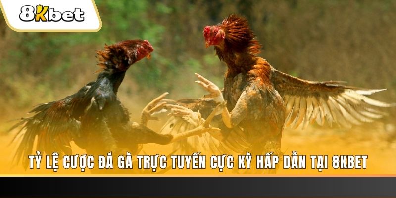 vip win đăng nhập nổ hũ trực tuyến