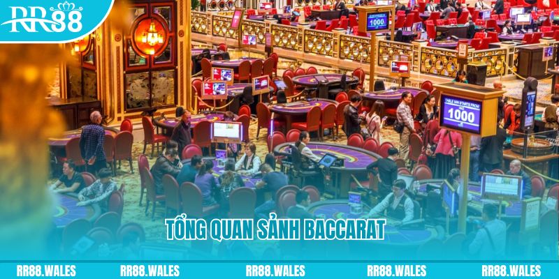 vip win đăng nhập roulette