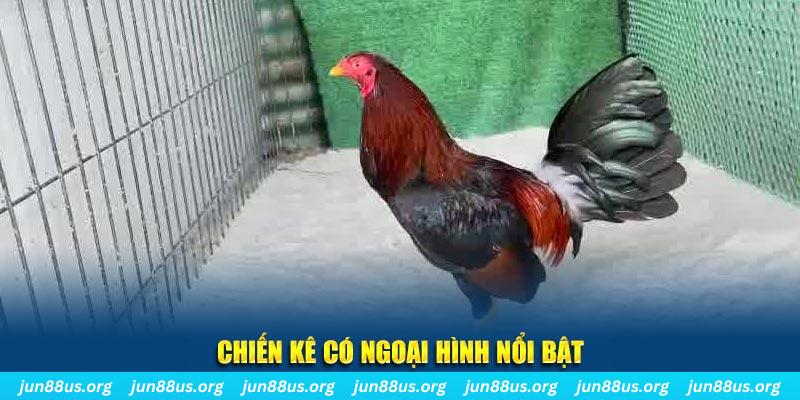 vip win game bắn cá