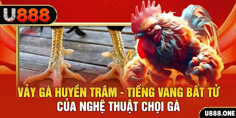 vip win Cuộc gọi đã bị ngắt