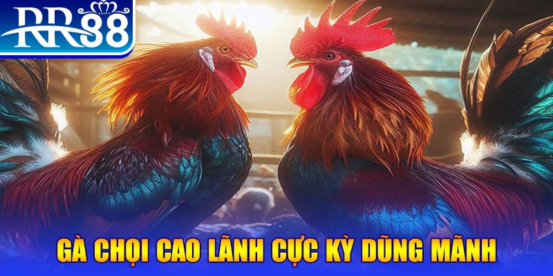 vip win HB Điện Tử