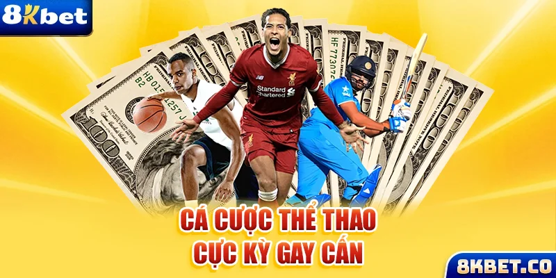 vip win xem đá gà trực tiếp